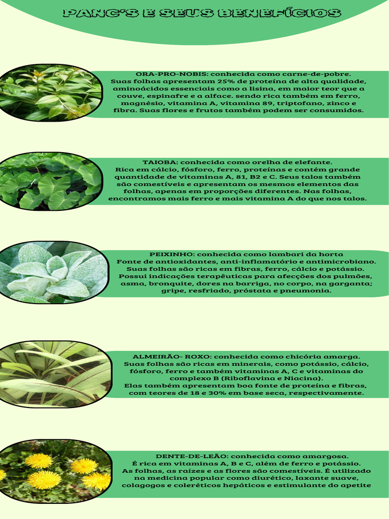 Benef cios Das PANCs Na Alimenta o PDF