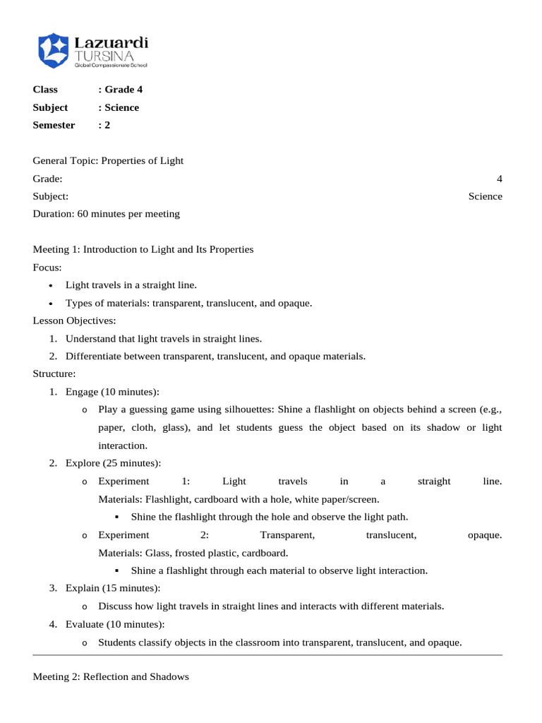 Lesson Plan Science Light | PDF | Reflection (Physics) | Mirror