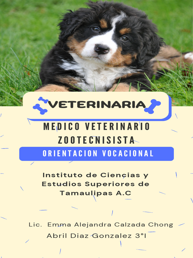 Entrevista a Médico Veterinario | PDF | Medicina Veterinaria | Las ...
