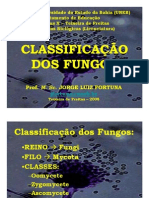 Classificação Dos Fungos