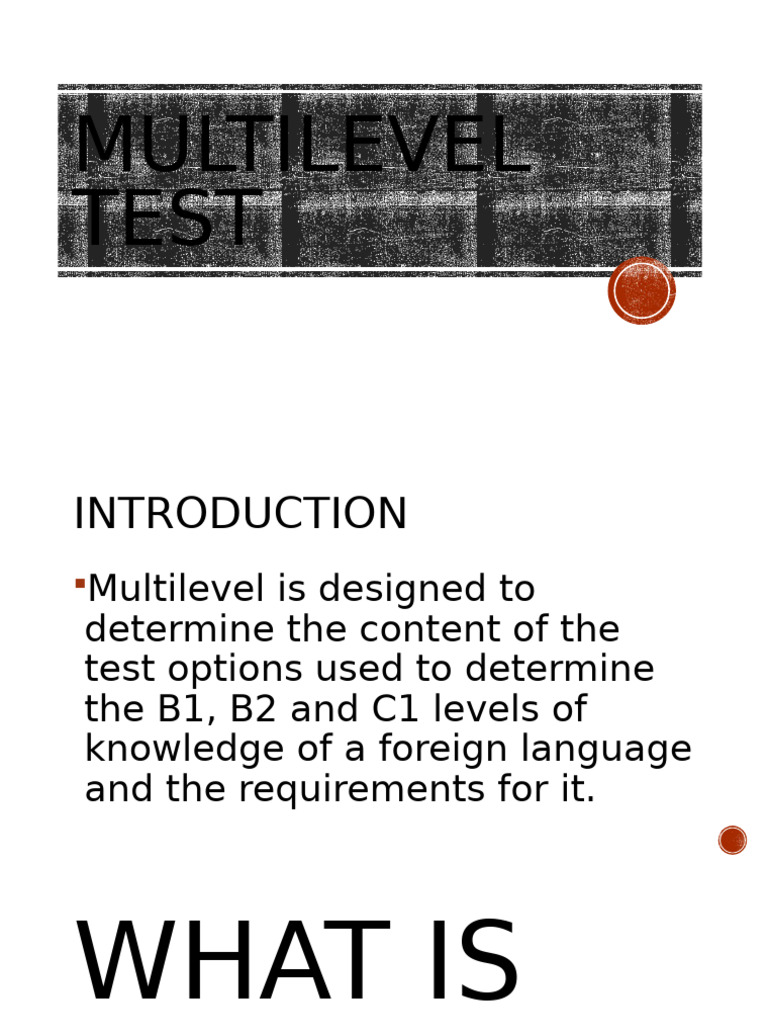 Multilevel Language Test Guide | PDF