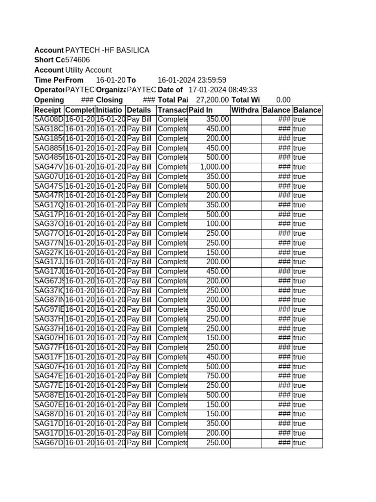 PAYTECH Utility Account Summary 2024 | PDF