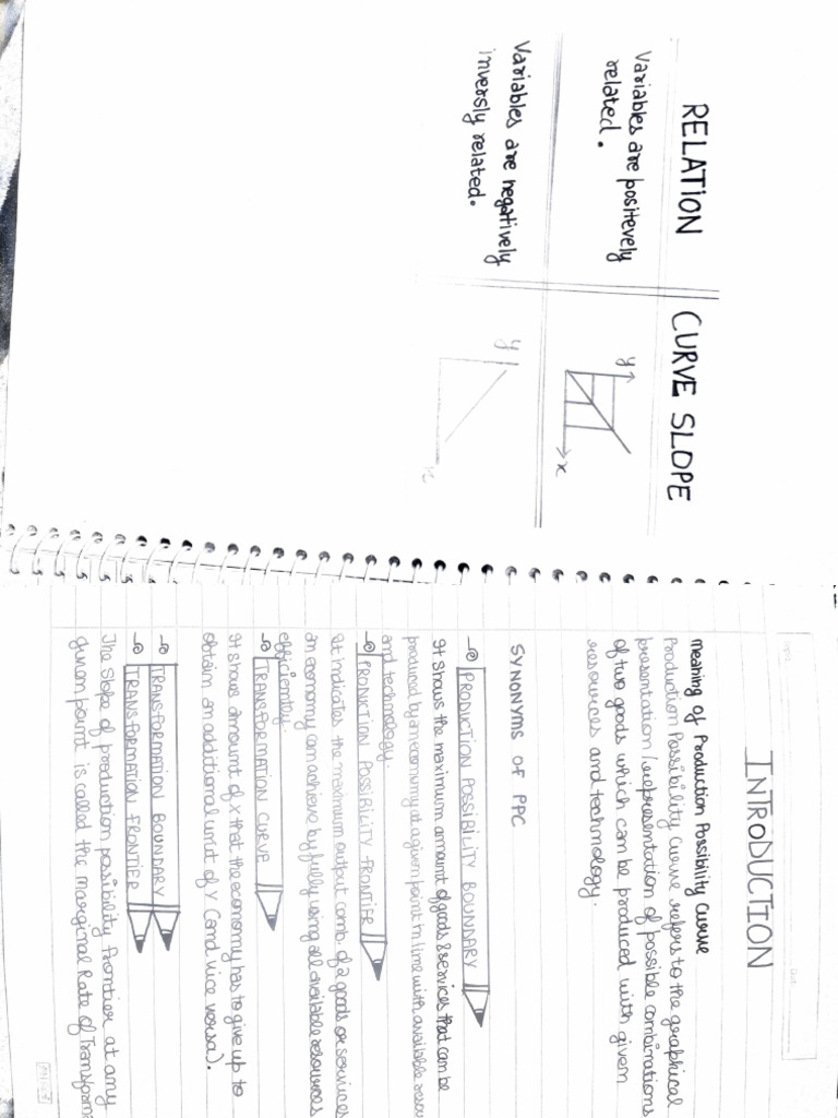 Sample Project - PPC | PDF