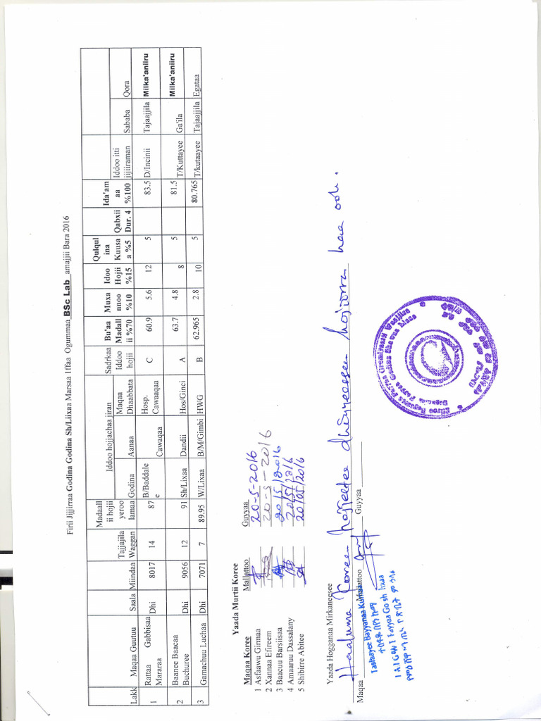 BSC Lab | PDF
