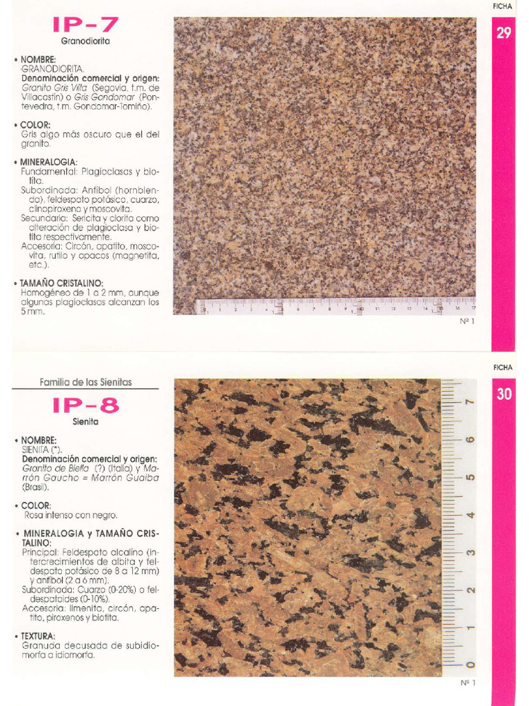 IGN4 | PDF