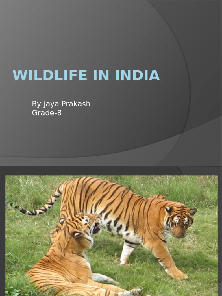 Wildlife Conservation in India | PDF | Wildlife | Conservation Biology