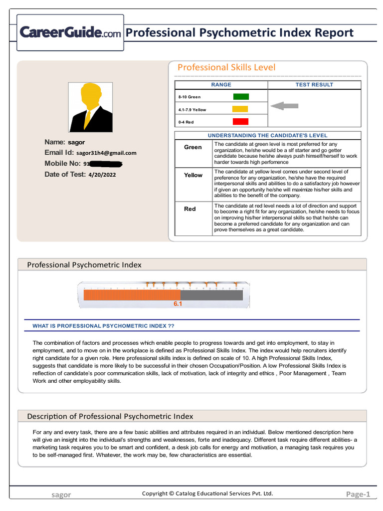 Professional Psychometric Index Report | PDF | Leadership | Motivational