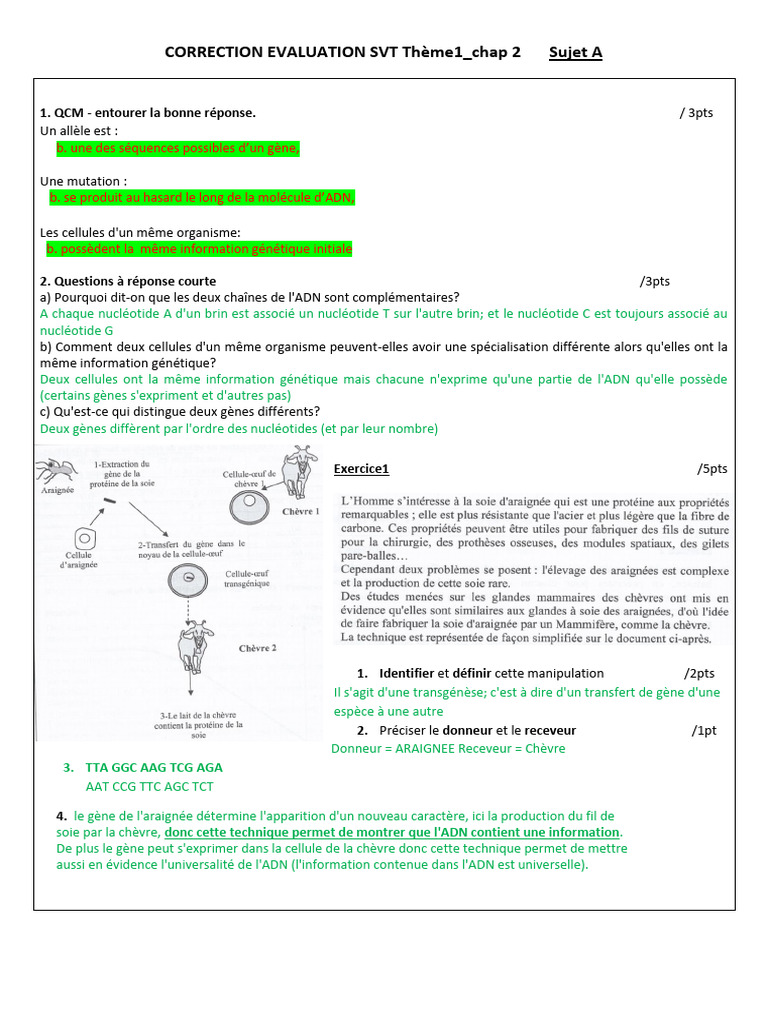 Correction Évaluation SVT Thème 1 Chap 2 | PDF | Gène | Génotype