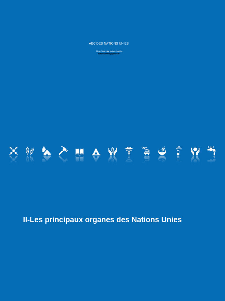 Les Principaux Organes Des Nations Unies | PDF | Conseil de sécurité ...