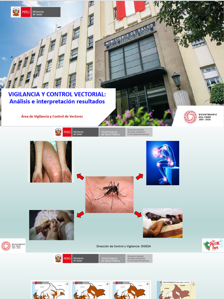 Vigilancia y Control del Aedes aegypti | PDF
