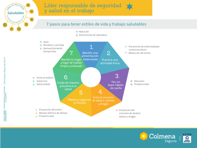 7 Pasos para Estilos de Vida Saludables | PDF