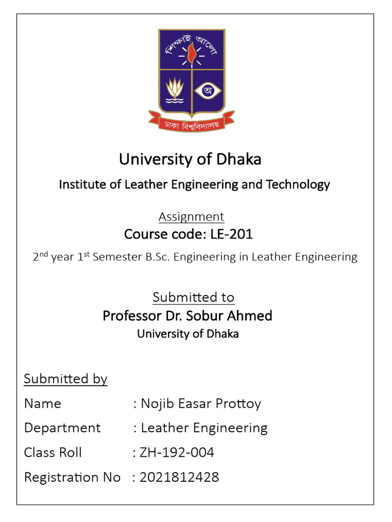 Leather Engineering Assignment Submission | PDF