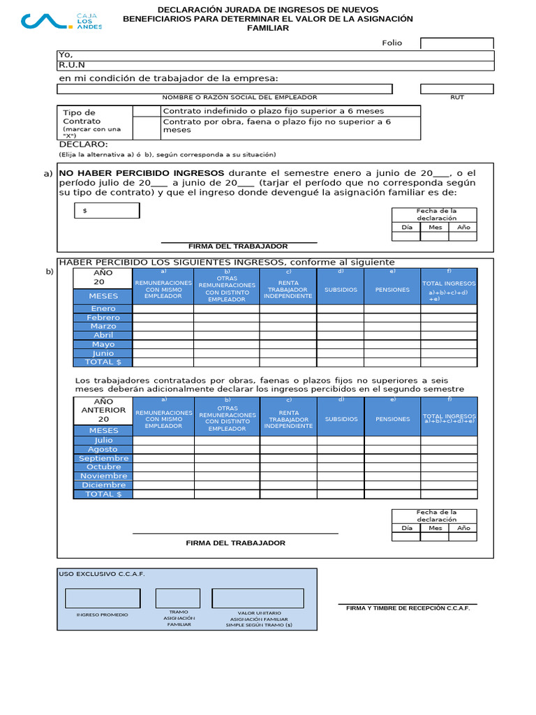 Declaracion Jurada de Ingresos | PDF | Economias