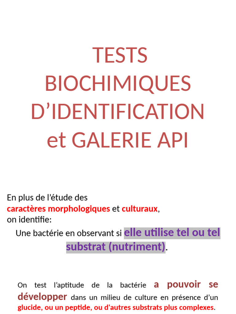 TP-Tests Biochimiques Et Galerie API | PDF | Staphylococcus ...