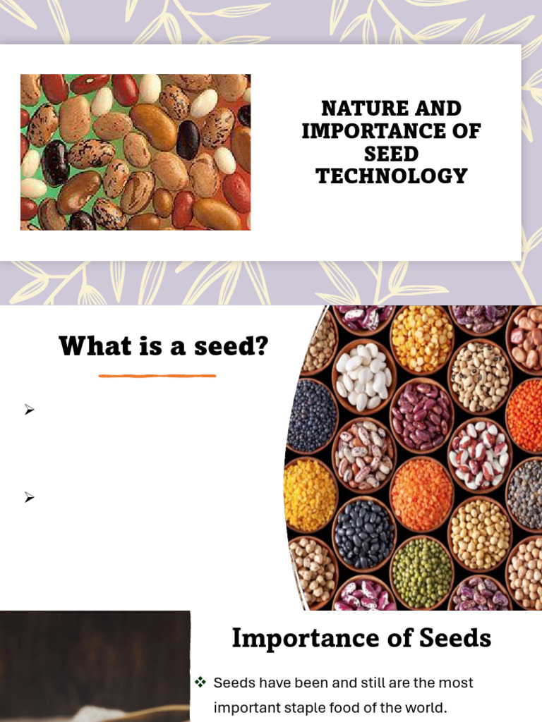Seed Tech Full Lecture - Rev.12.11.24mmr | PDF | Flowers | Seed