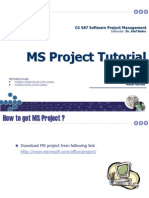 MS Project Tutorial