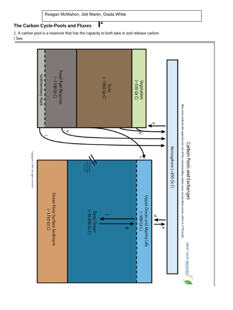 Understanding the Carbon Cycle Dynamics | PDF | Greenhouse Gas ...