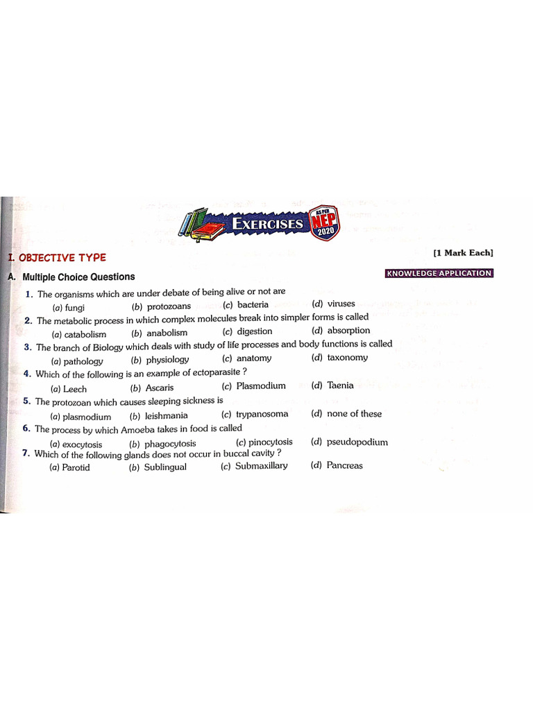 10 Bio Full Competency | PDF