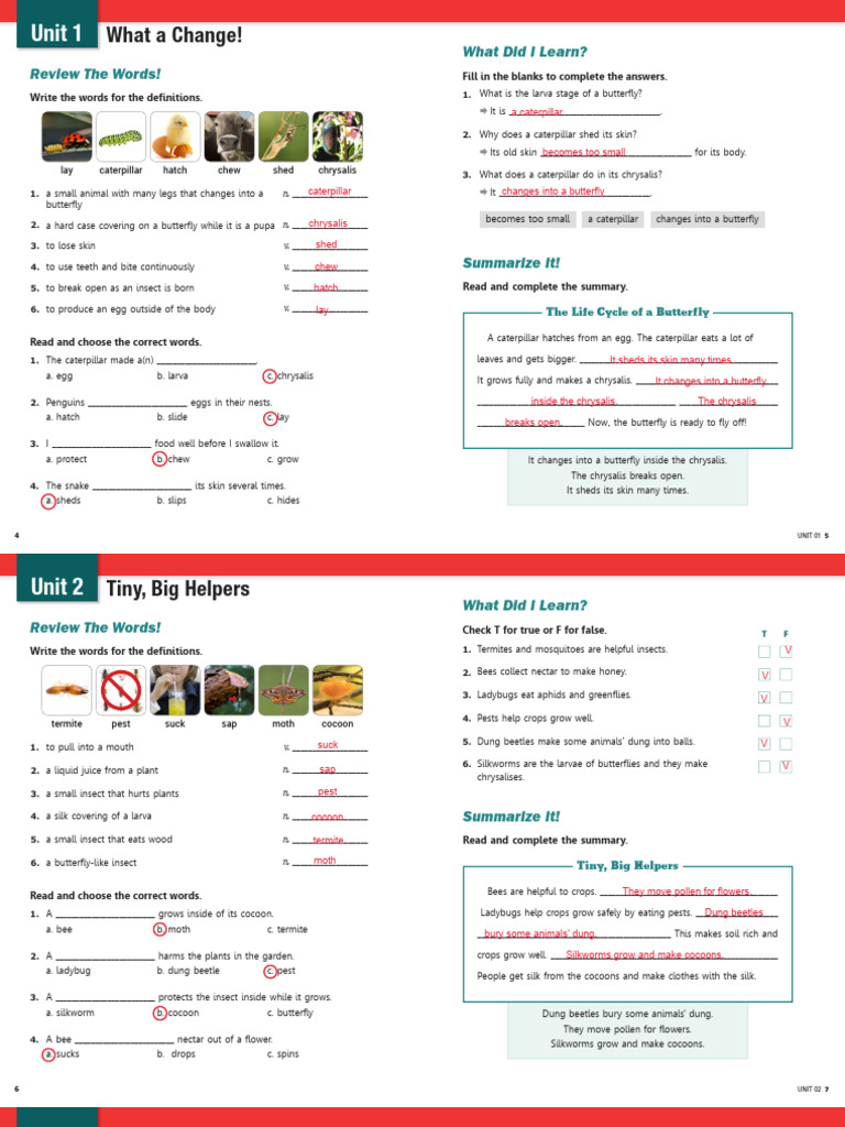 Bricks Reading 170 Answer Key Pdf Water Pupa