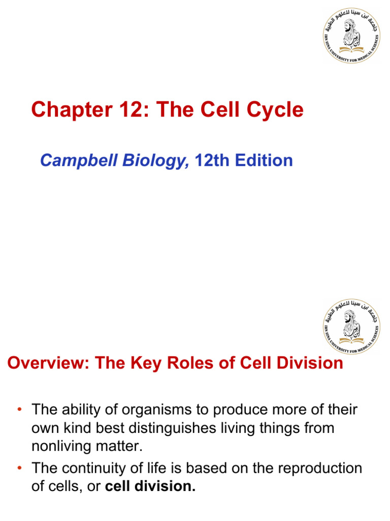 Understanding the Cell Cycle | PDF | Mitosis | Chromosome