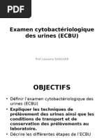 Guide sur l'ECBU et ses techniques | PDF | Appareil urinaire | Urine