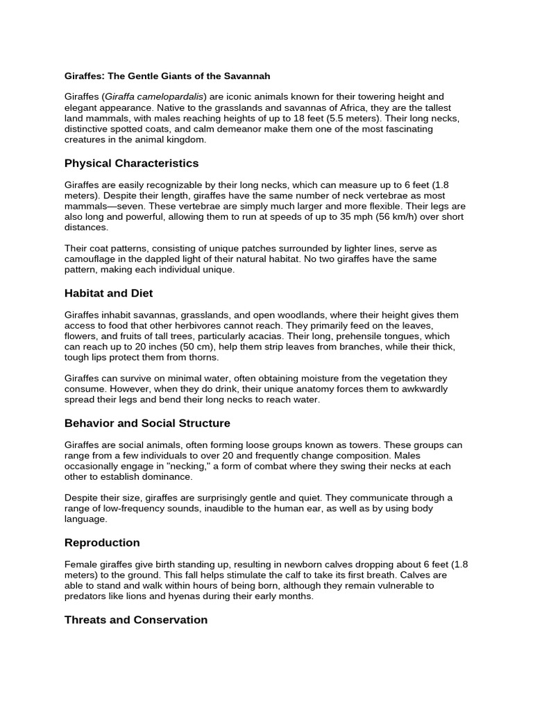 Research Papers About Giraffes - The Gentle Giants of The Savannah ...