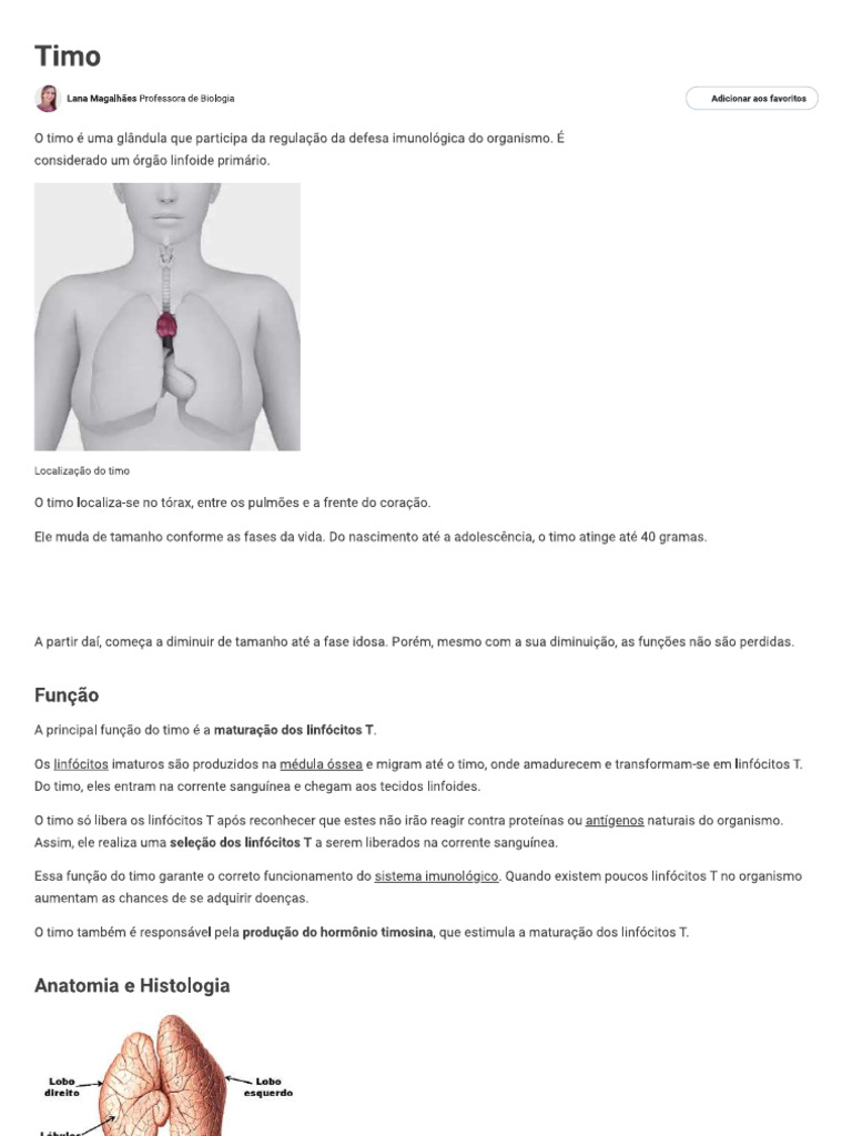 Timo | PDF
