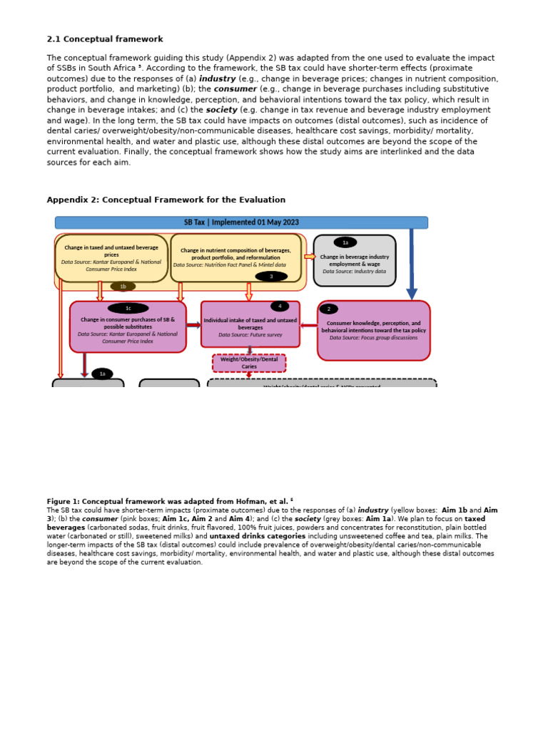 Theoretical Framework - Conceptual | PDF | Soft Drink