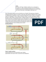 Insulin - From Secretion To Action