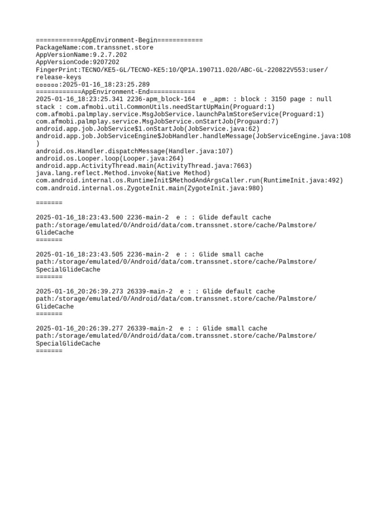 App Environment and Cache Details | PDF