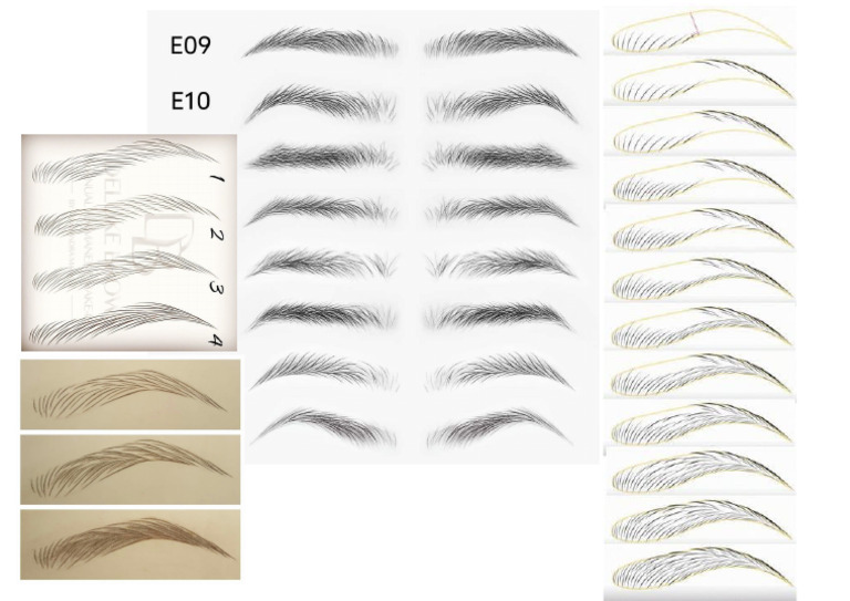 Eyebrowp (Atter | PDF