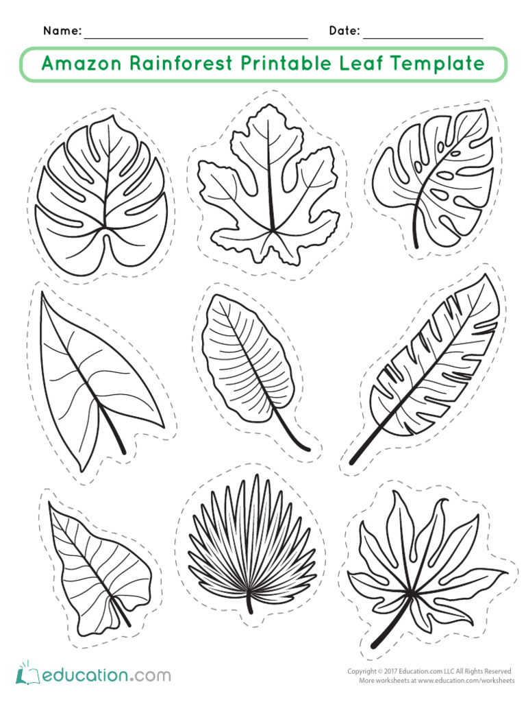 Amazon Rainforest Leaf Template | PDF