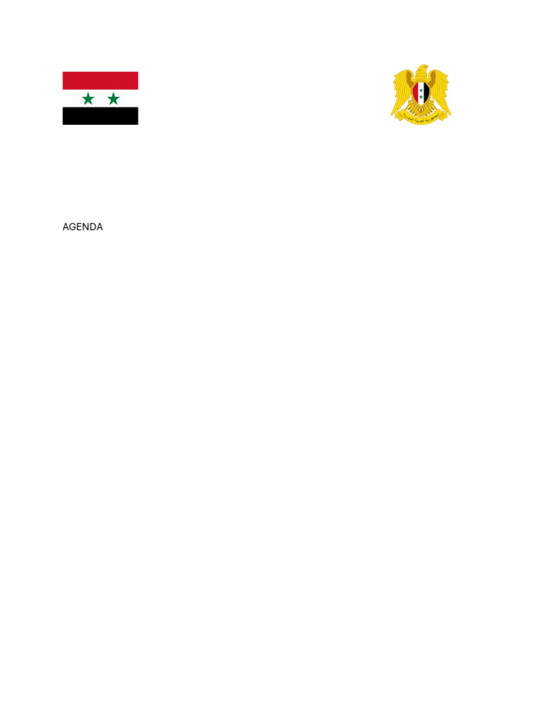 SYRIA_POSITION PAPER | PDF | Refugee | Refugees Of The Syrian Civil War