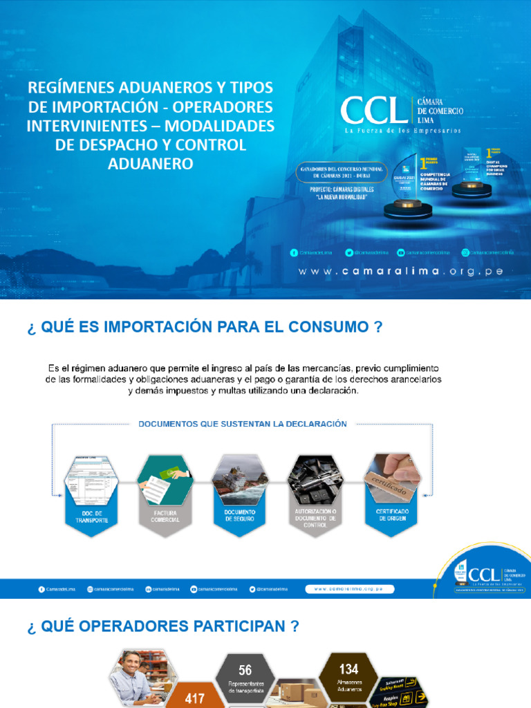 Tipos de Importación y Control Aduanero | PDF | aduana