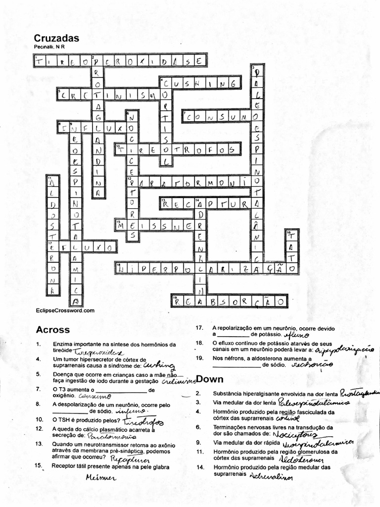 Cruzadas | PDF