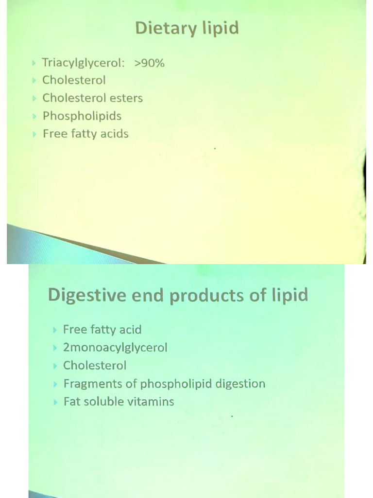 lipid metabolism 1 | PDF