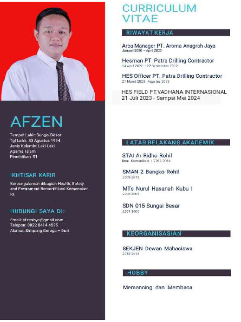 CV Afzen - Hfo | PDF