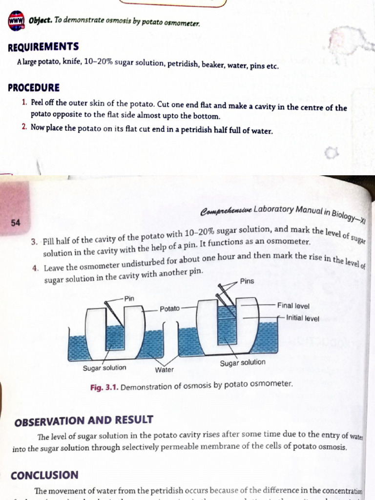Exp 7)Study of Osmosis by Potato Osmometer 25-Nov-2023 20-54