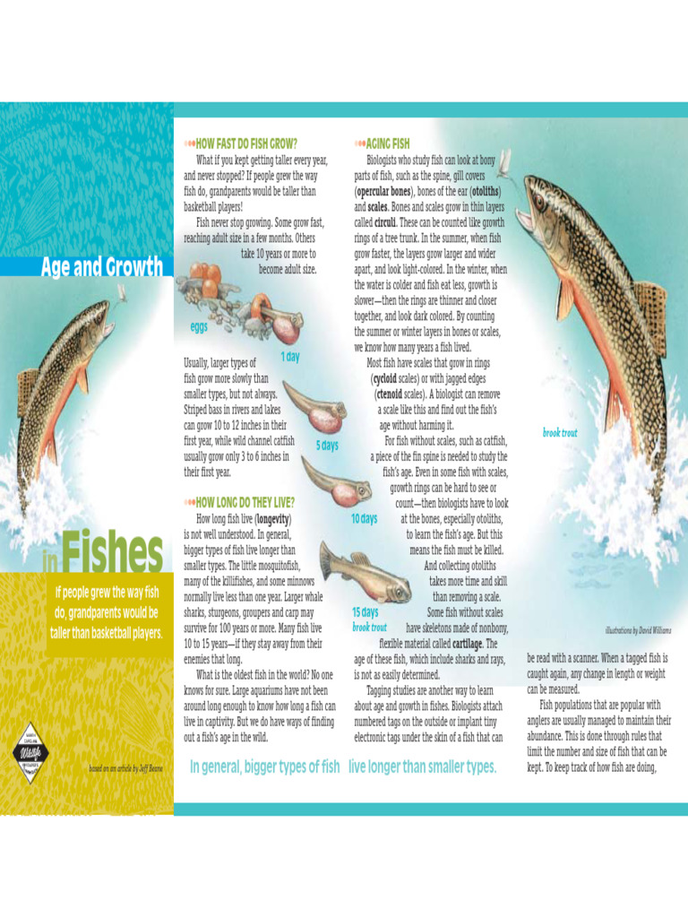 Fish Growth and Longevity Explained | PDF | Fish