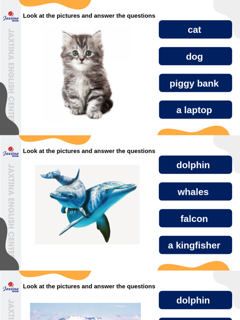 (MTC) Lesson 02 | PDF | Cognitive Science | Cognition