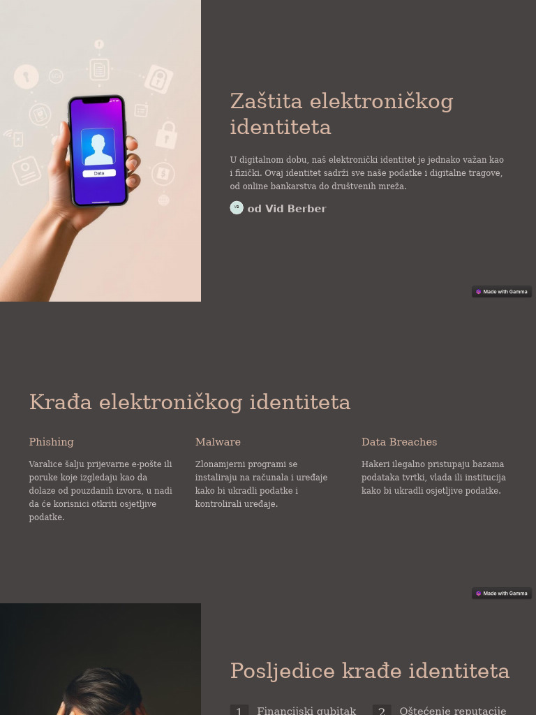 Zastita Elektronickog Identiteta | PDF