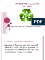 Environmental Valuation