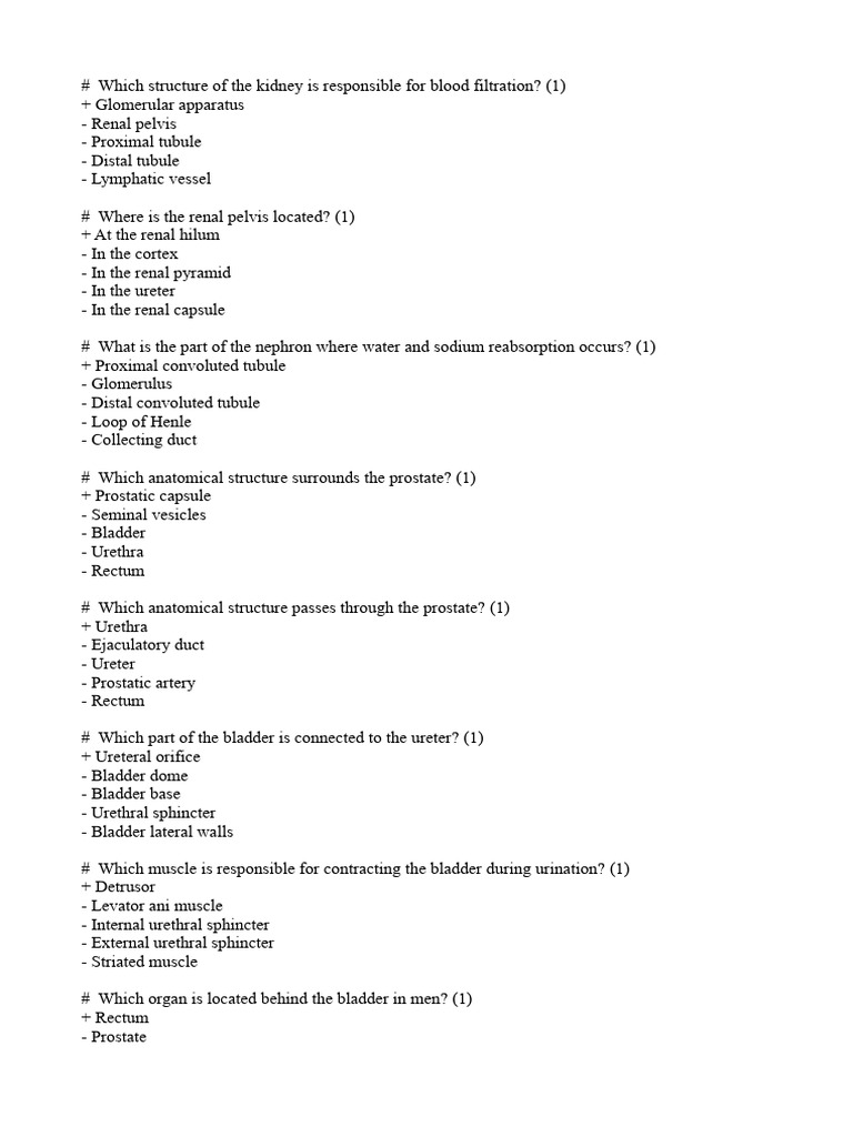 UROLOGY tests 2024 ENG | PDF | Kidney | Urinary Tract Infection