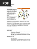 Download Anatomy and Physiology SLE by Moti Pagador SN81683680 doc pdf