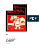 A Donkey Named Peter