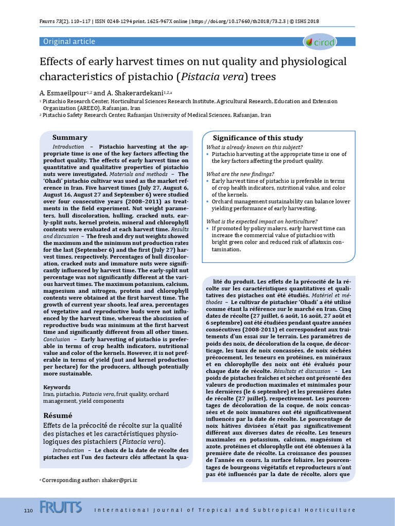 Pistachio Harvest Timing Insights | PDF | Edible Nuts And Seeds