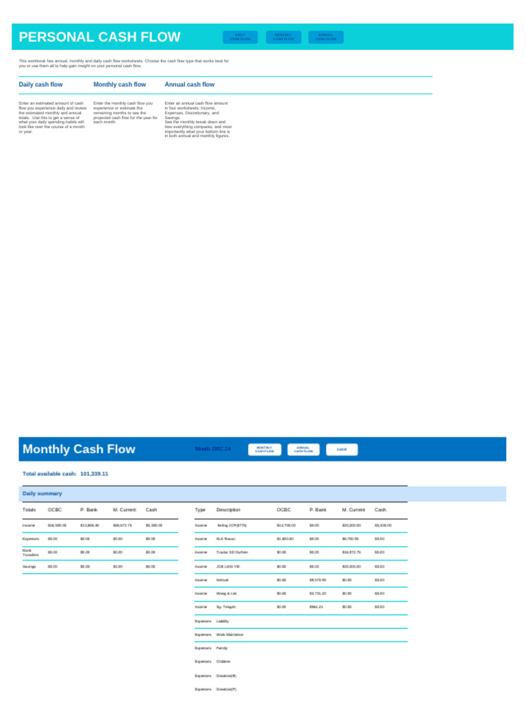Personal Cash Flow Overview | PDF | Expense | Income