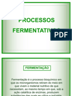 6256 - Processos Fermentativos