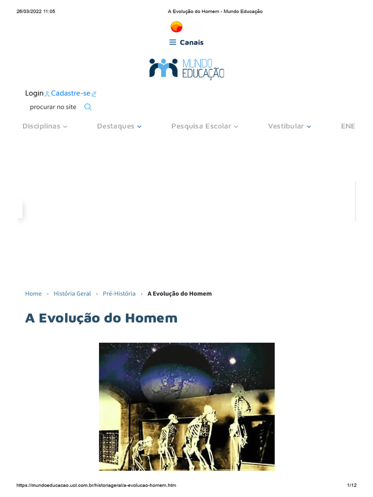 A Evolução do Homem | PDF | Homo | Evolução humana