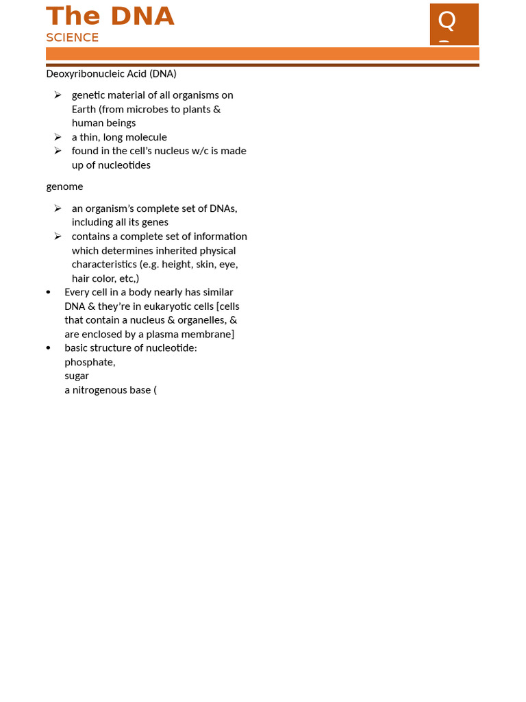 Understanding DNA Structure and Function | PDF